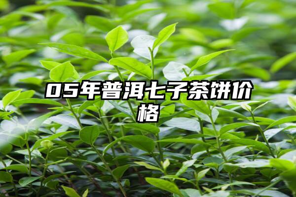 05年普洱七子茶饼价格