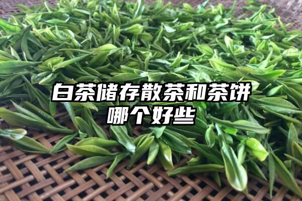 白茶储存散茶和茶饼哪个好些