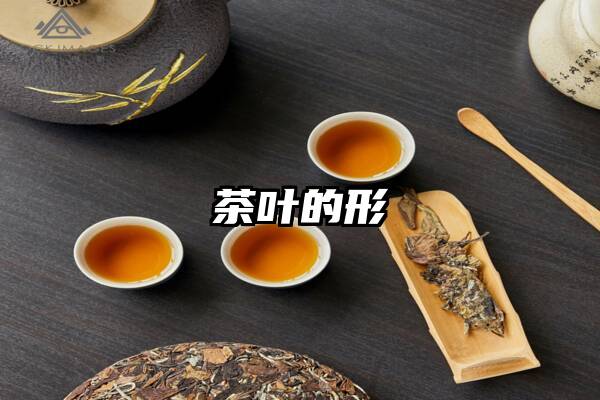 茶叶的形