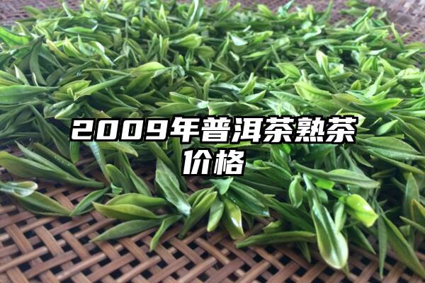 2009年普洱茶熟茶价格