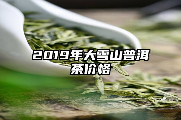 2019年大雪山普洱茶价格