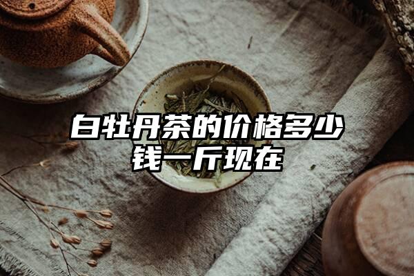 白牡丹茶的价格多少钱一斤现在