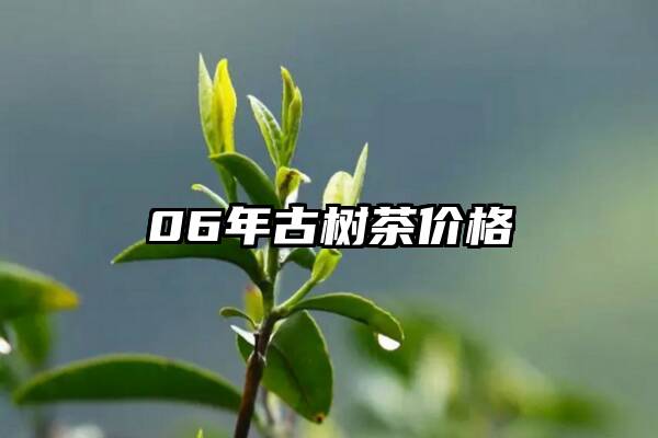 06年古树茶价格