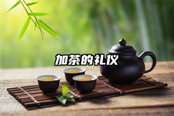 加茶的礼仪