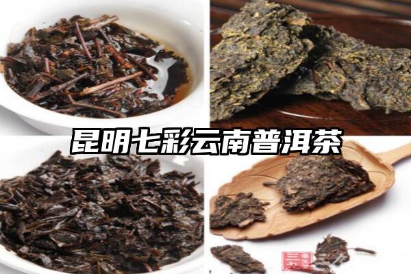 昆明七彩云南普洱茶