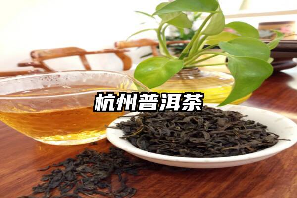 杭州普洱茶