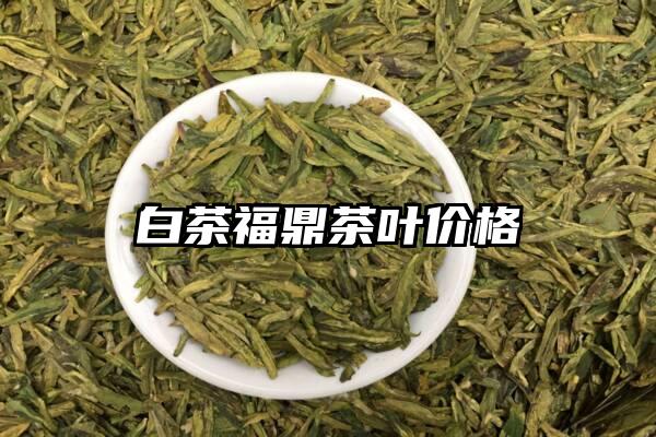 白茶福鼎茶叶价格