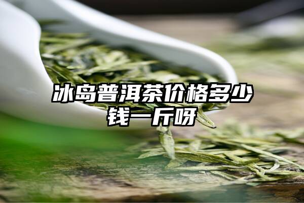 冰岛普洱茶价格多少钱一斤呀