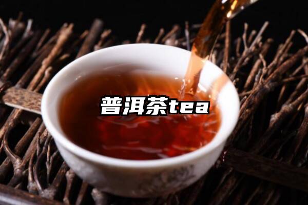 普洱茶tea