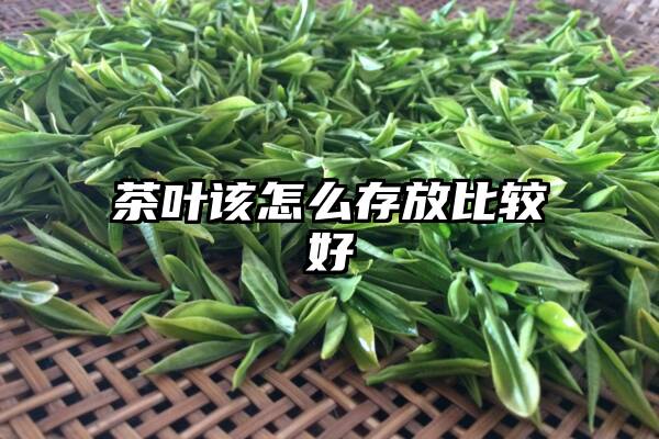 茶叶该怎么存放比较好