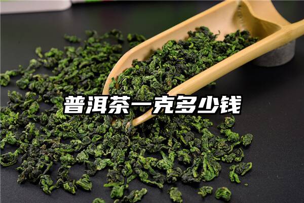 普洱茶一克多少钱