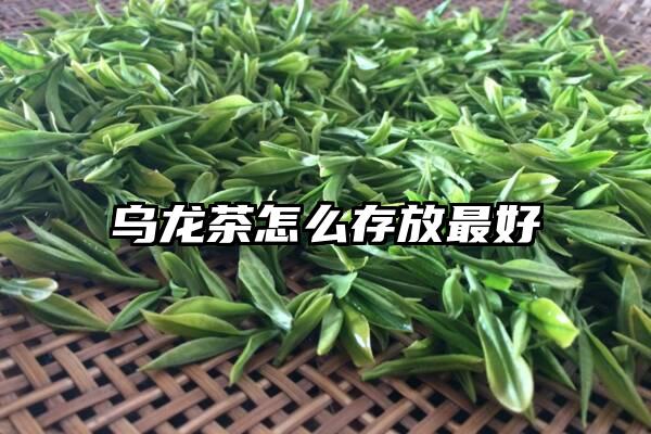 乌龙茶怎么存放最好