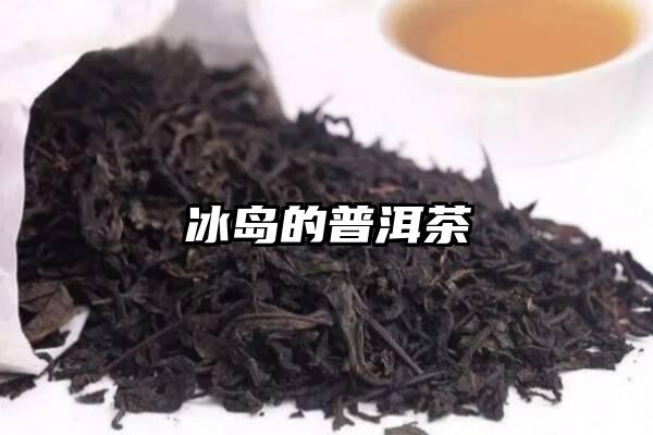 冰岛的普洱茶