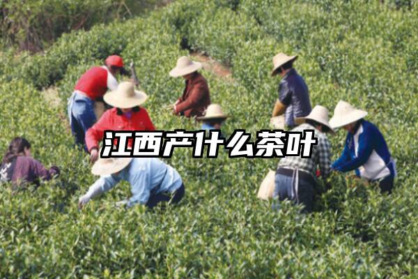 江西产什么茶叶