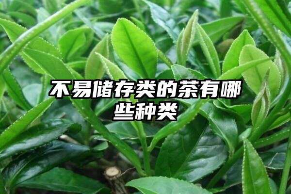 不易储存类的茶有哪些种类