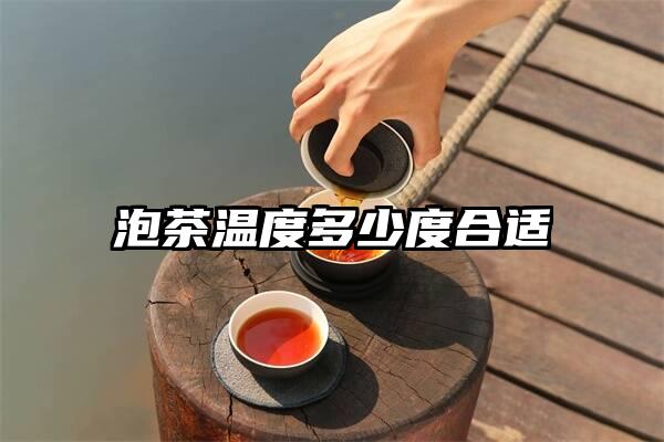 泡茶温度多少度合适