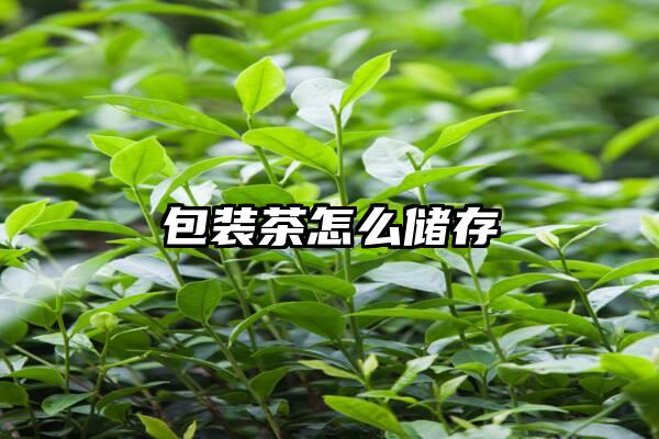 包装茶怎么储存