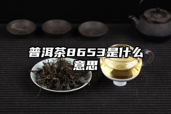 普洱茶8653是什么意思