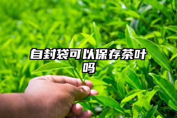 自封袋可以保存茶叶吗