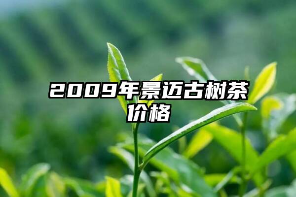 2009年景迈古树茶价格