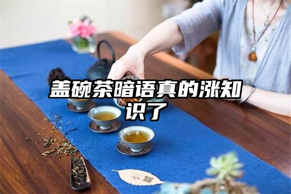 盖碗茶暗语真的涨知识了