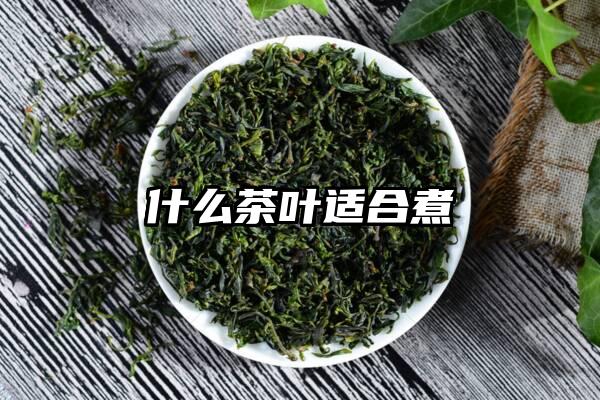 什么茶叶适合煮