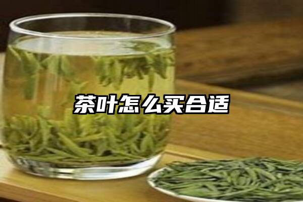 茶叶怎么买合适