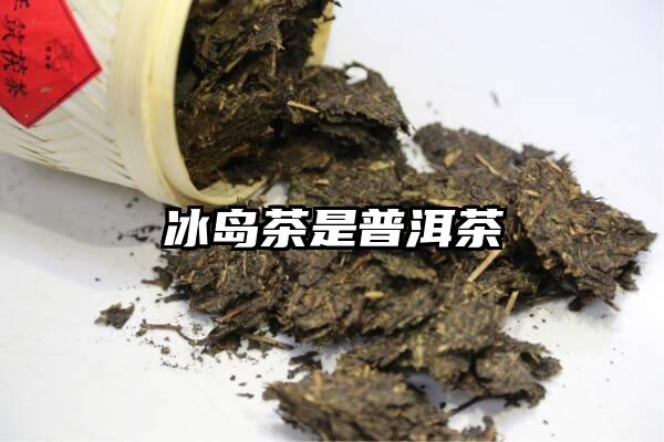 冰岛茶是普洱茶