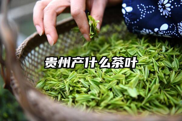 贵州产什么茶叶