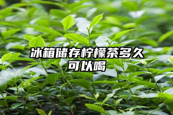 冰箱储存柠檬茶多久可以喝