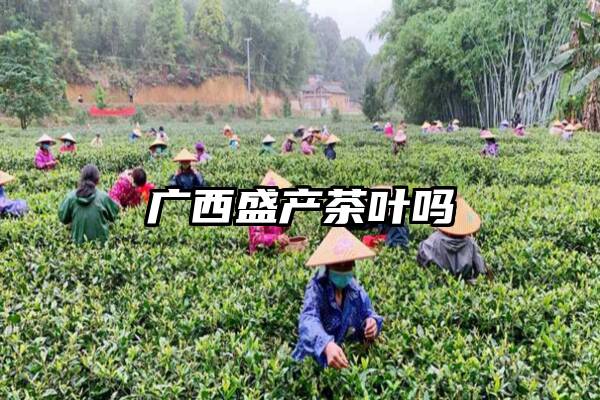 广西盛产茶叶吗