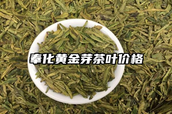 奉化黄金芽茶叶价格