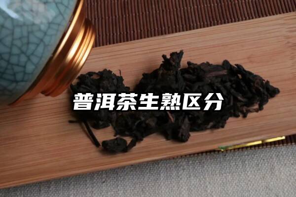 普洱茶生熟区分