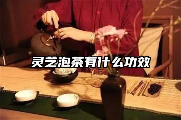 灵芝泡茶有什么功效