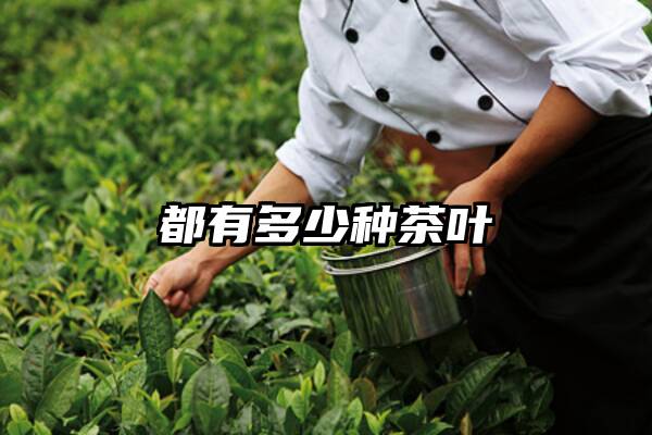 都有多少种茶叶