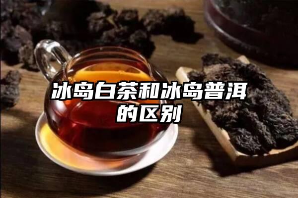 冰岛白茶和冰岛普洱的区别