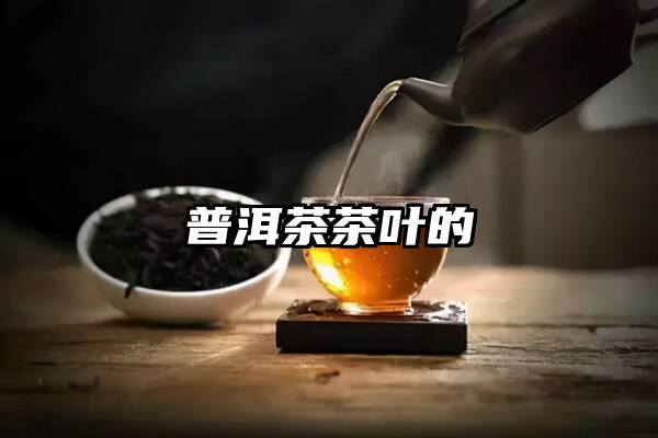 普洱茶茶叶的