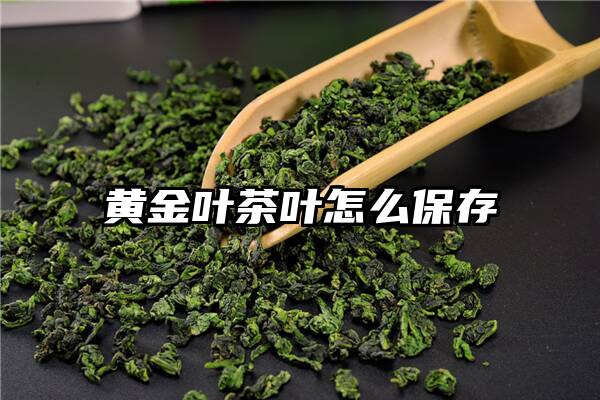 黄金叶茶叶怎么保存