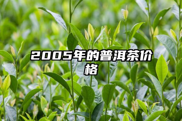 2005年的普洱茶价格