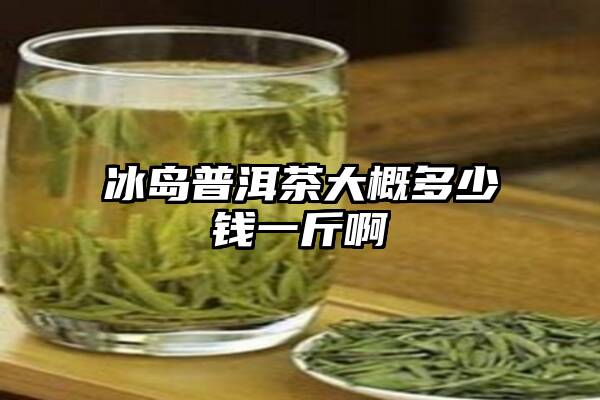 冰岛普洱茶大概多少钱一斤啊