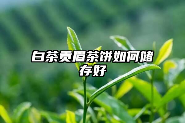 白茶贡眉茶饼如何储存好