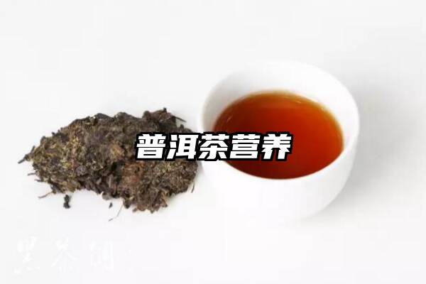 普洱茶营养