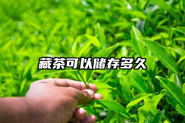 藏茶可以储存多久