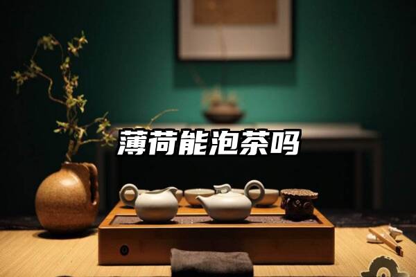 薄荷能泡茶吗