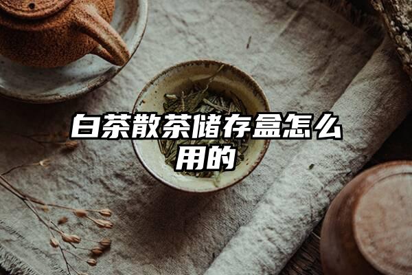 白茶散茶储存盒怎么用的