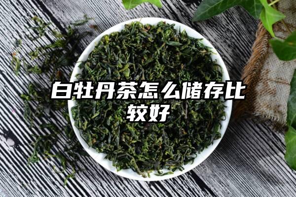 白牡丹茶怎么储存比较好