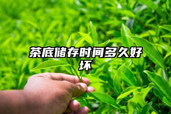 茶底储存时间多久好坏