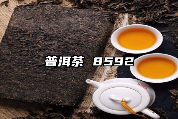 普洱茶 8592