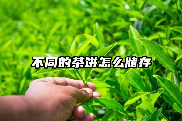 不同的茶饼怎么储存