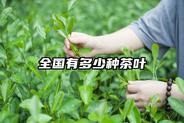 全国有多少种茶叶